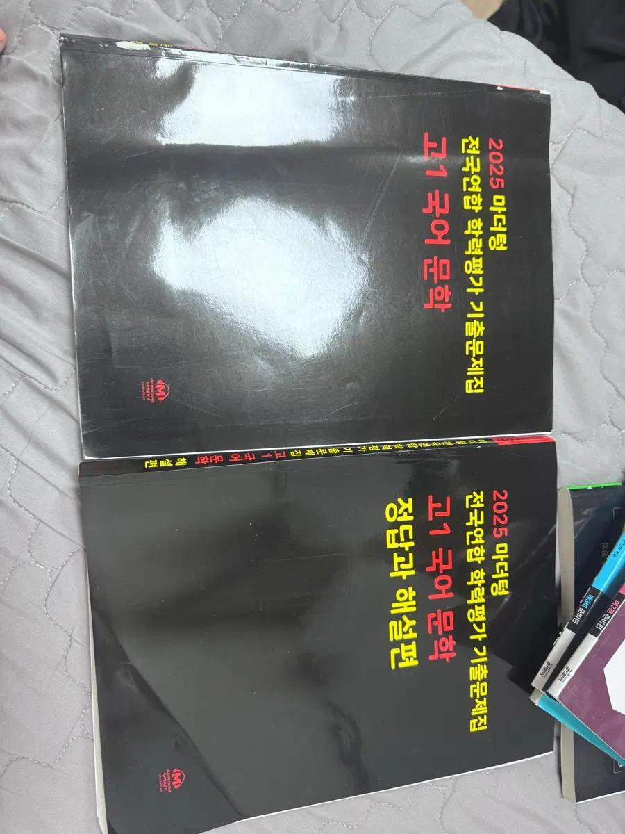 2025 마더텅 고1 국어 문학