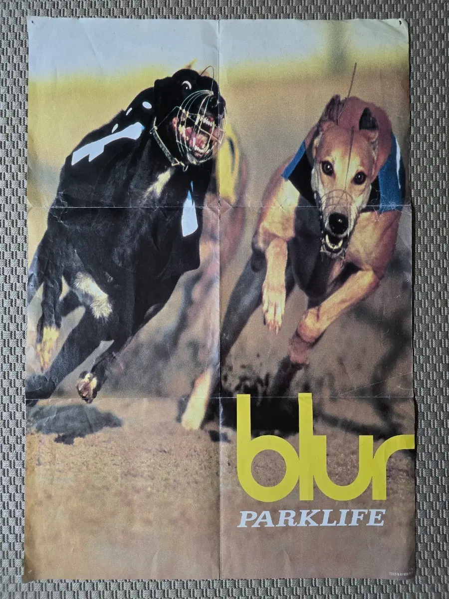 포스터 Blur 블러 PROMO 대형 포스터