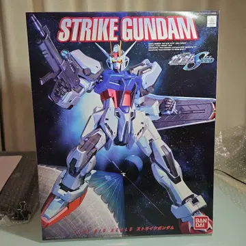 1/60 빅 스케일 스트라이크 건담