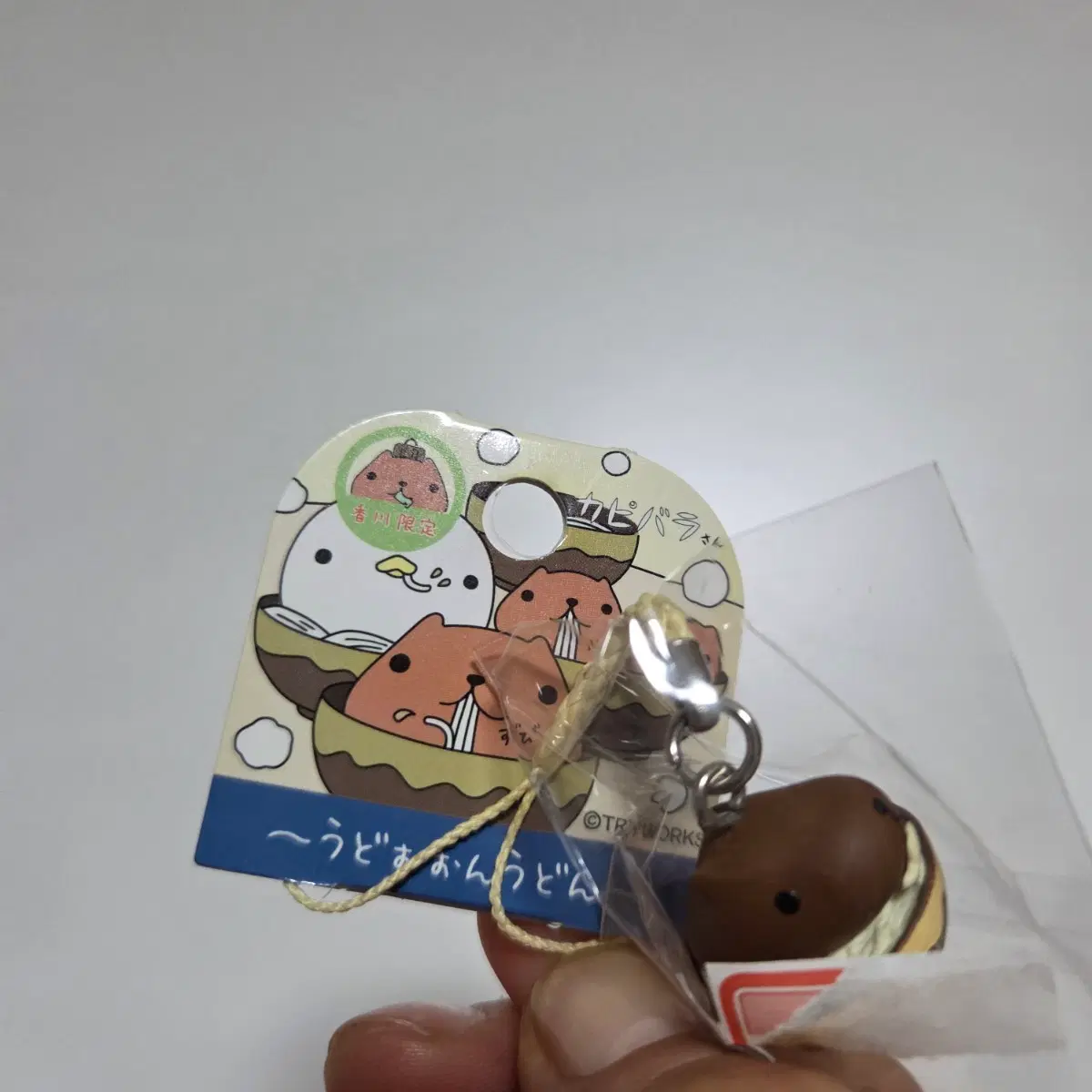 빈티지 토이 캐릭터 굿즈 피규어 인형 고전 만화 카피바라상 우동 키링 스트랩