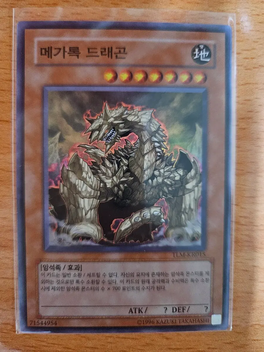 메가록 드래곤