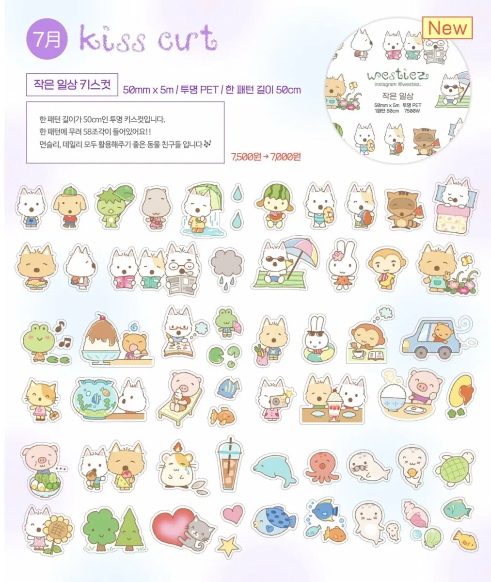서일페 웨스티즈 작은일상 키스컷 원가이하띵 원가띵