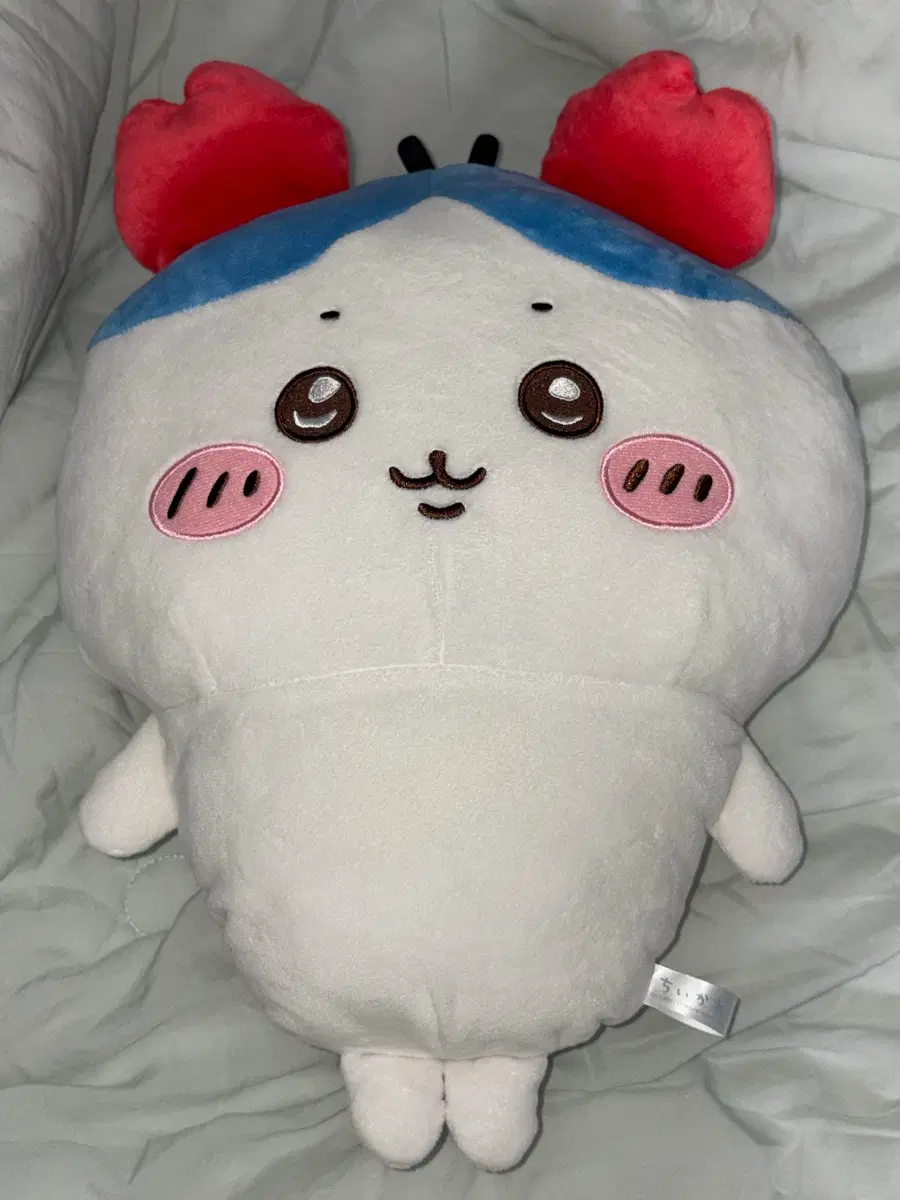 카니 하치와레 꽃게 인형 빅누이 먼작귀 치이카와