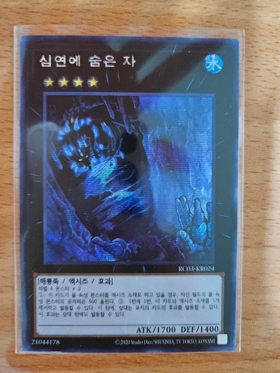 심연에 숨은자 시크