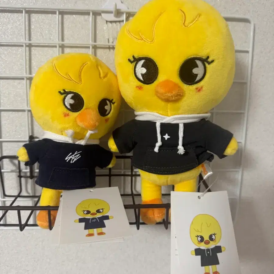 뽁아리 일괄 판매