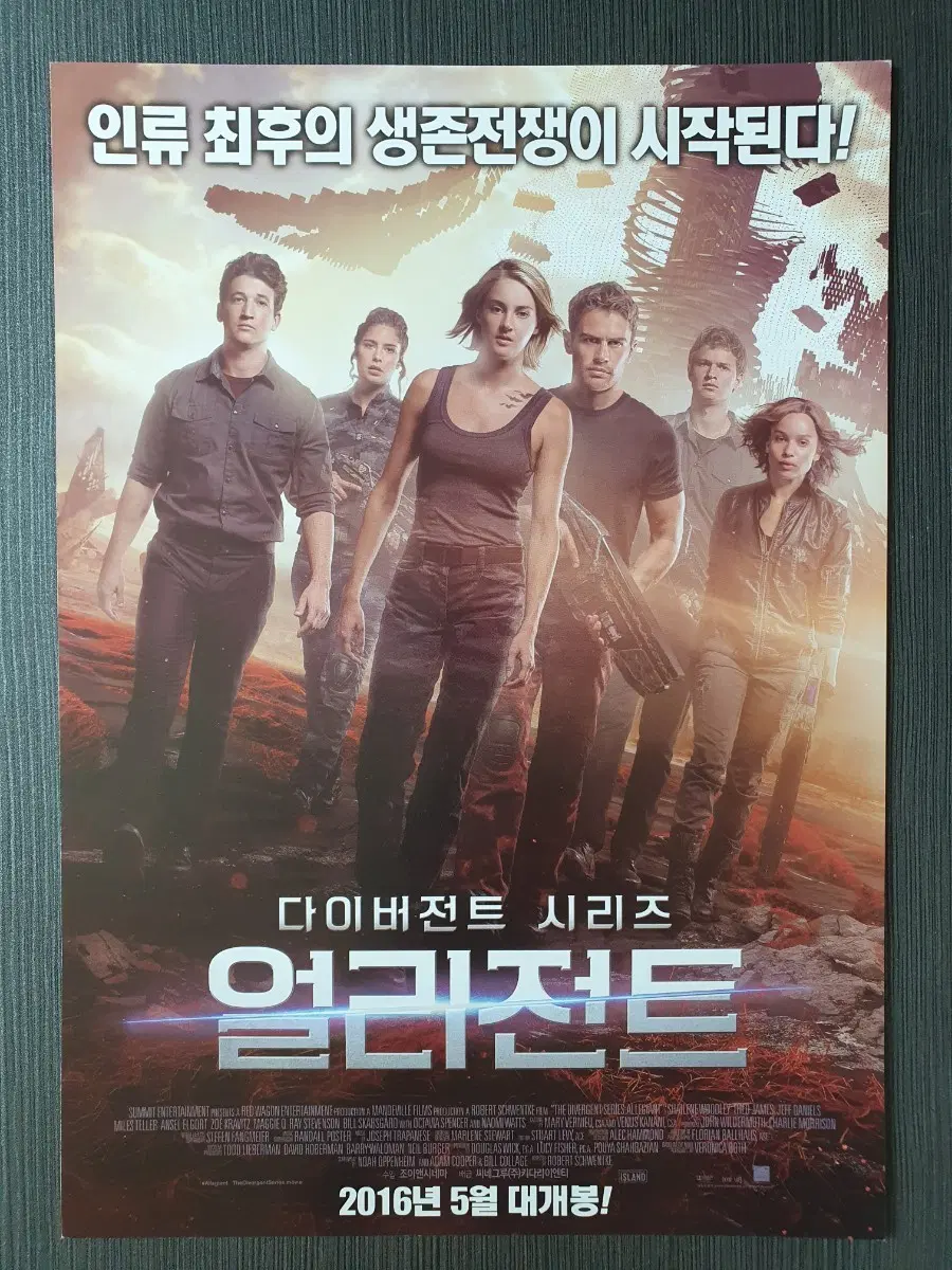 영화 다이버전트 얼리전트 전단지 팜플렛 A4