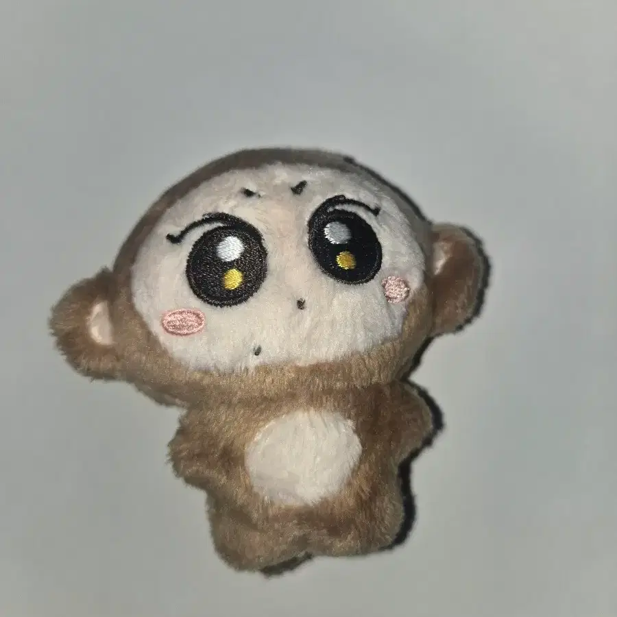 엔하이픈 인형 끼끼쩡 쩡숭이 판매