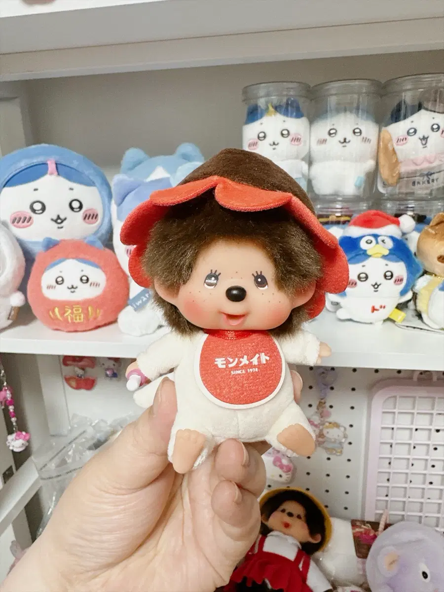 홍콩한정판 몬메이트 대두 몬치치