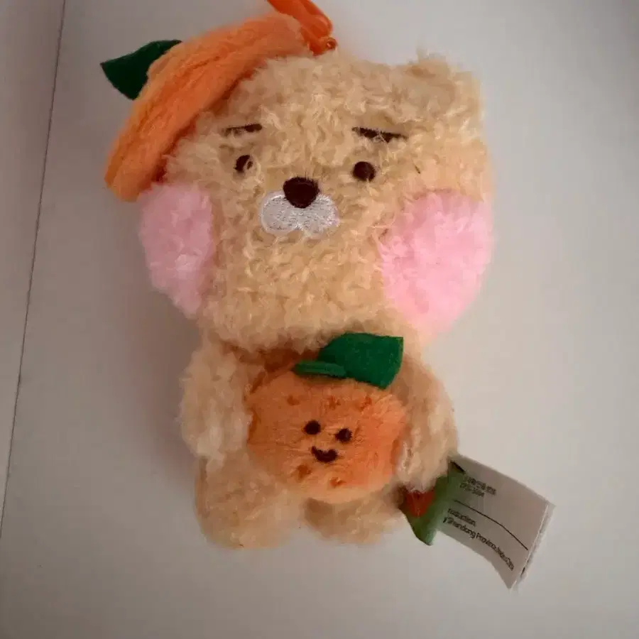 제주 한정 감귤 라이언 키링