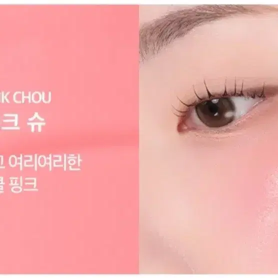 입큰 퍼스널 톤 쿠션 블러셔 핑크 슈 치크 봄웜 여쿨 갈웜 겨쿨 라이트 브라이트 페일 뮤트 클리어 트루 딥 비비드 스트롱 소프트