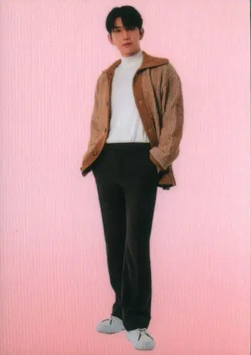 SEVENTEEN 2021 SEVENTEEN'S HOME 조슈아 트레이딩 카드 0130