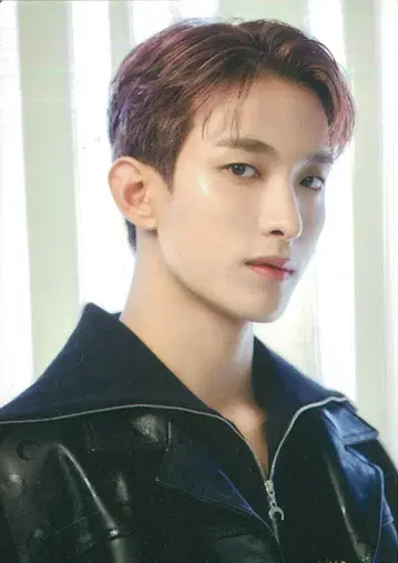 SEVENTEEN 2023 FOLLOW to JAPAN DK 트레이딩 카드 10