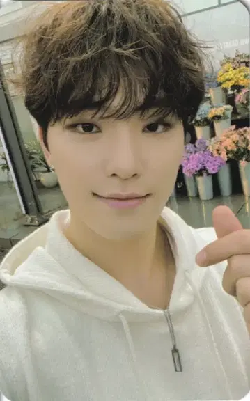 세븐틴 SECTOR 17 DINO 럭키 드로우 SW/1