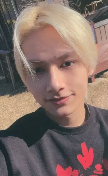 세븐틴 인 더 숲2 준 트레이딩 카드