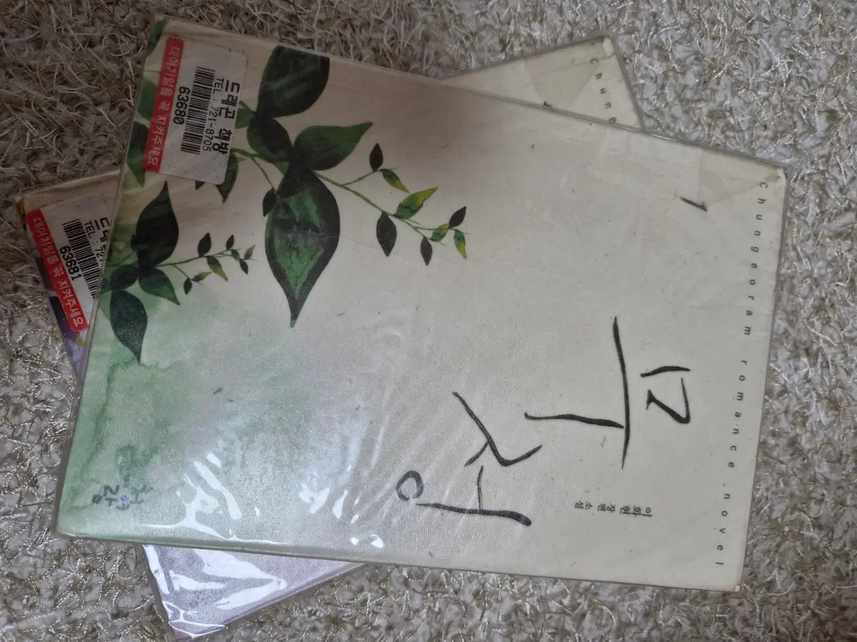 무정 이화현