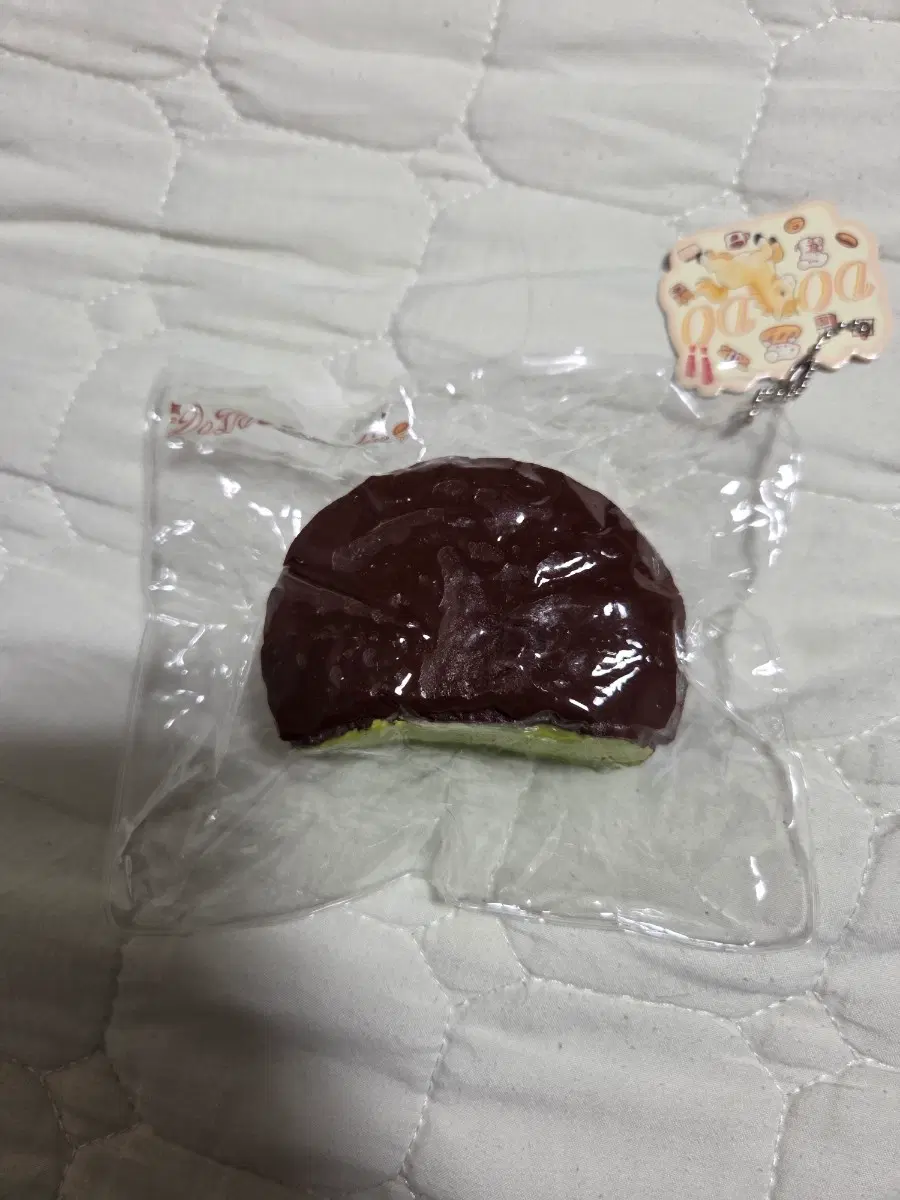 도도 말랑이