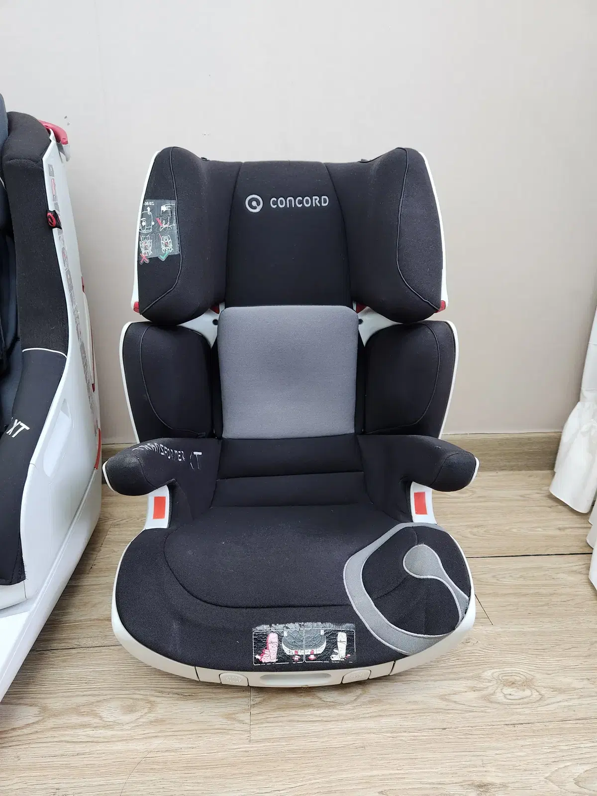 독일 콩코드 카시트 (ISOFIX) 아이소픽스 concord