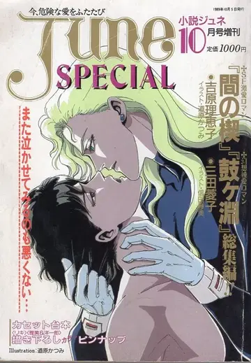 소설 June SPEIAL 89/10 8910 1989년 (헤이세이 1년)의 BL 소설 잡지