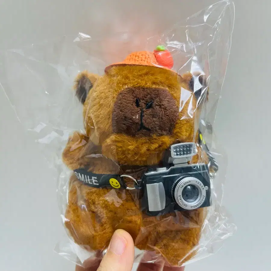 (새상품)제주도 카피바라 키링 팝니다