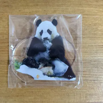 어드벤처 월드 팬더 카에데하마 아크릴 스탠드 미사용 미개봉 새상품