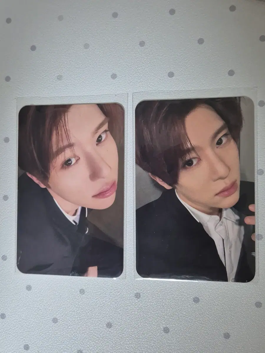엔시티 위시 보이미츠걸 보밋걸 요이돈 시온 포카