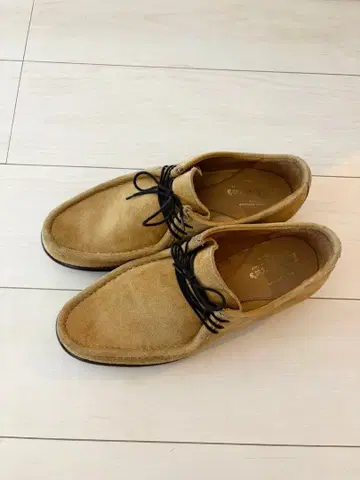 르 유카의 Y31519