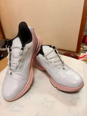 FOOT JOY 풋조이 2025 모델 93792J 24cm