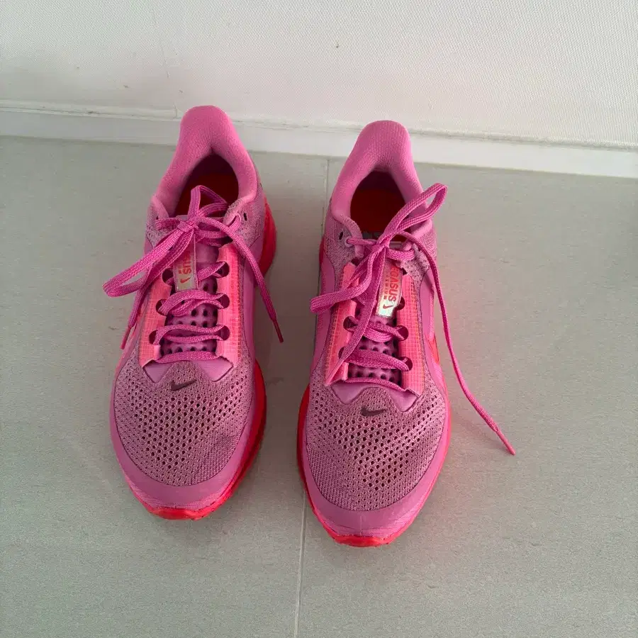 나이키 러닝화 런닝화 페가수스 프리미엄 air zoom x (250/us8)