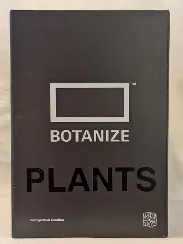 MEDICOM TOY VCD BOTANIZE Pachypodium Gracilius 1st