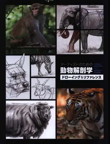 3dtotal Publishing 아티스트를 위한 동물 해부학 드로잉 & 레퍼런스