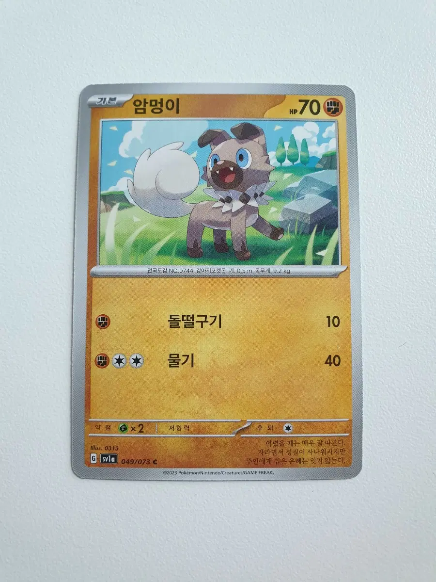 암멍이 포켓몬카드