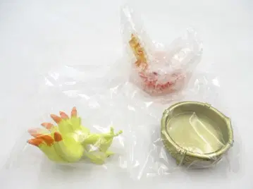 리멘트 GEMSTONE COLLECTION 빛나는 신비의 기적 포켓몬스터 큐콘 6