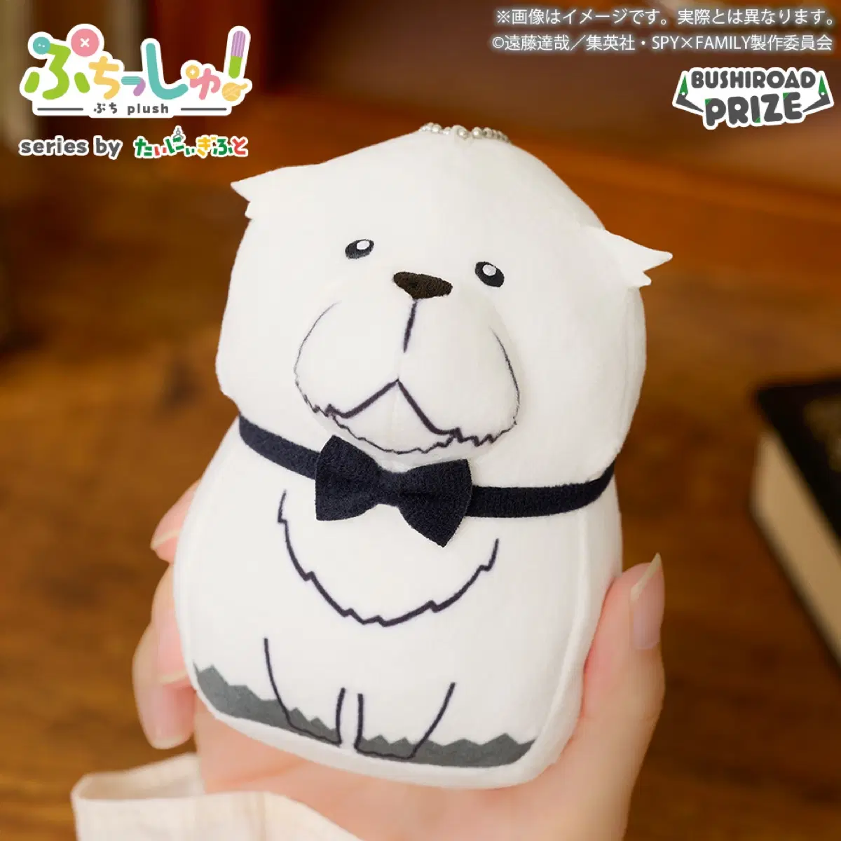 스파이패밀리 스파패 푸치슈 인형 본드 누이