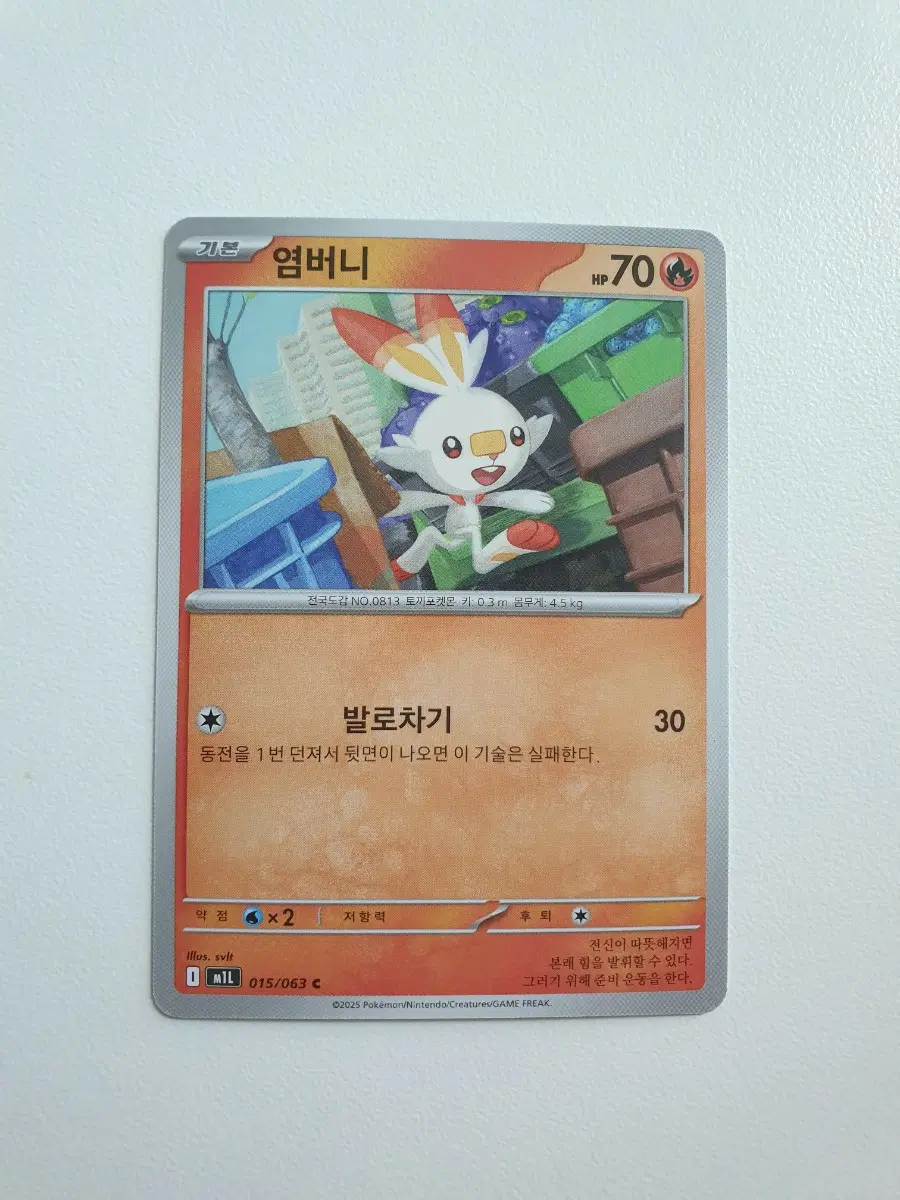 염버니 포켓몬카드