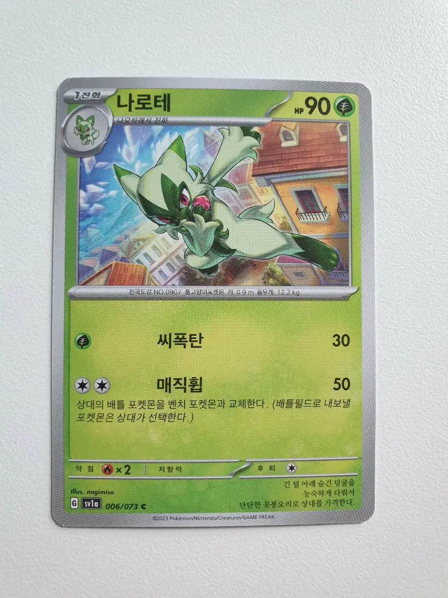 나로테 포켓몬카드
