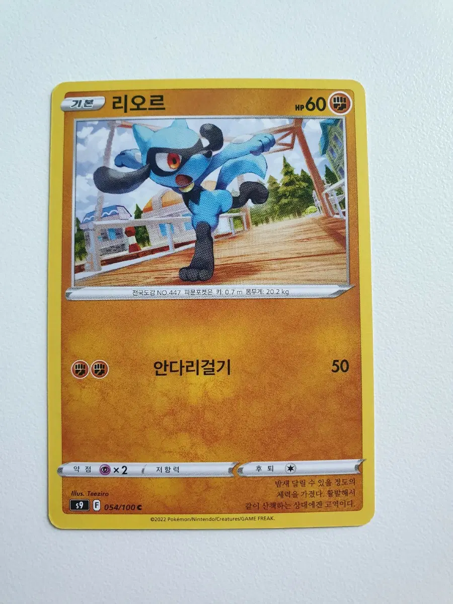 리오르 포켓몬카드