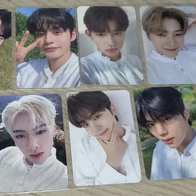 제베원(앤더블) 더현대 엘홀더 포카