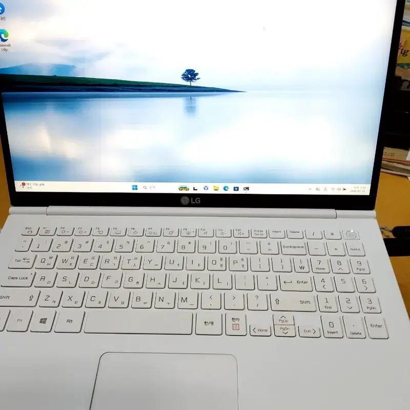 LG그램 15ZD995-VX50K i5-10210U