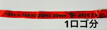 TOP4 in TOKYO DOME 2Days 은색 테이프 빨간색
