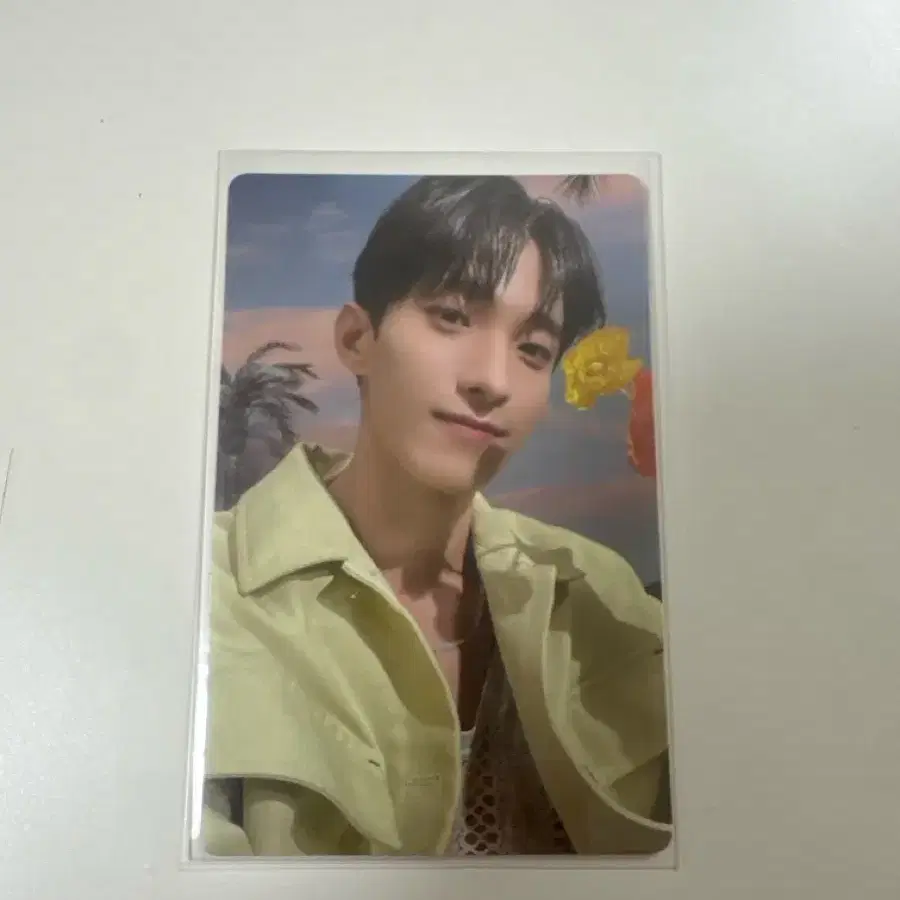 세븐틴 섹터 도겸 포카