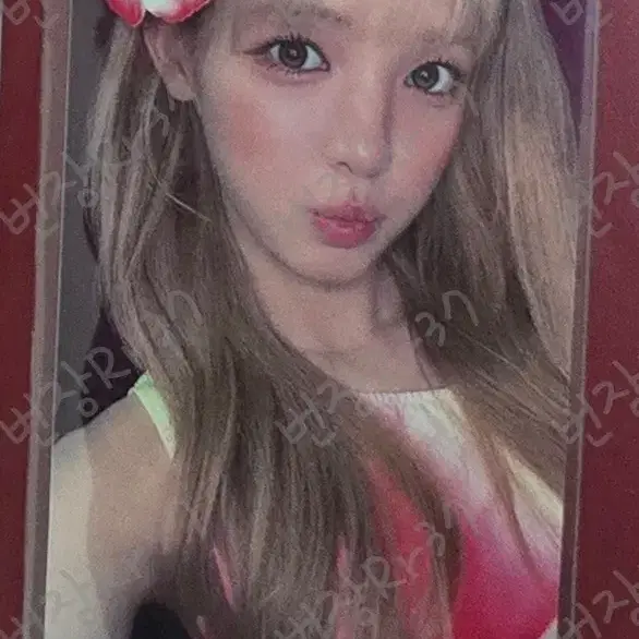 하투하 레몬탱 2차 럭드 인터아시아 유하 럭드 미공포 포카 양도