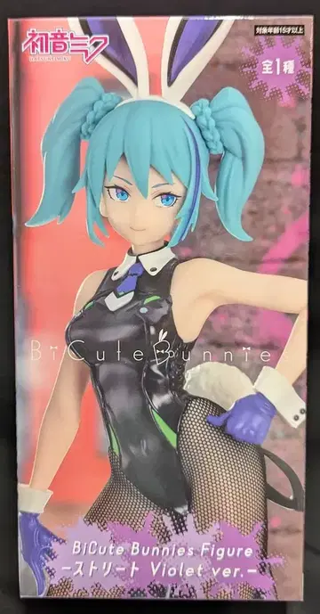 후류 BiCute Bunnies Figure VOCALOID 하츠네 미쿠 스트릿 Violet ver.