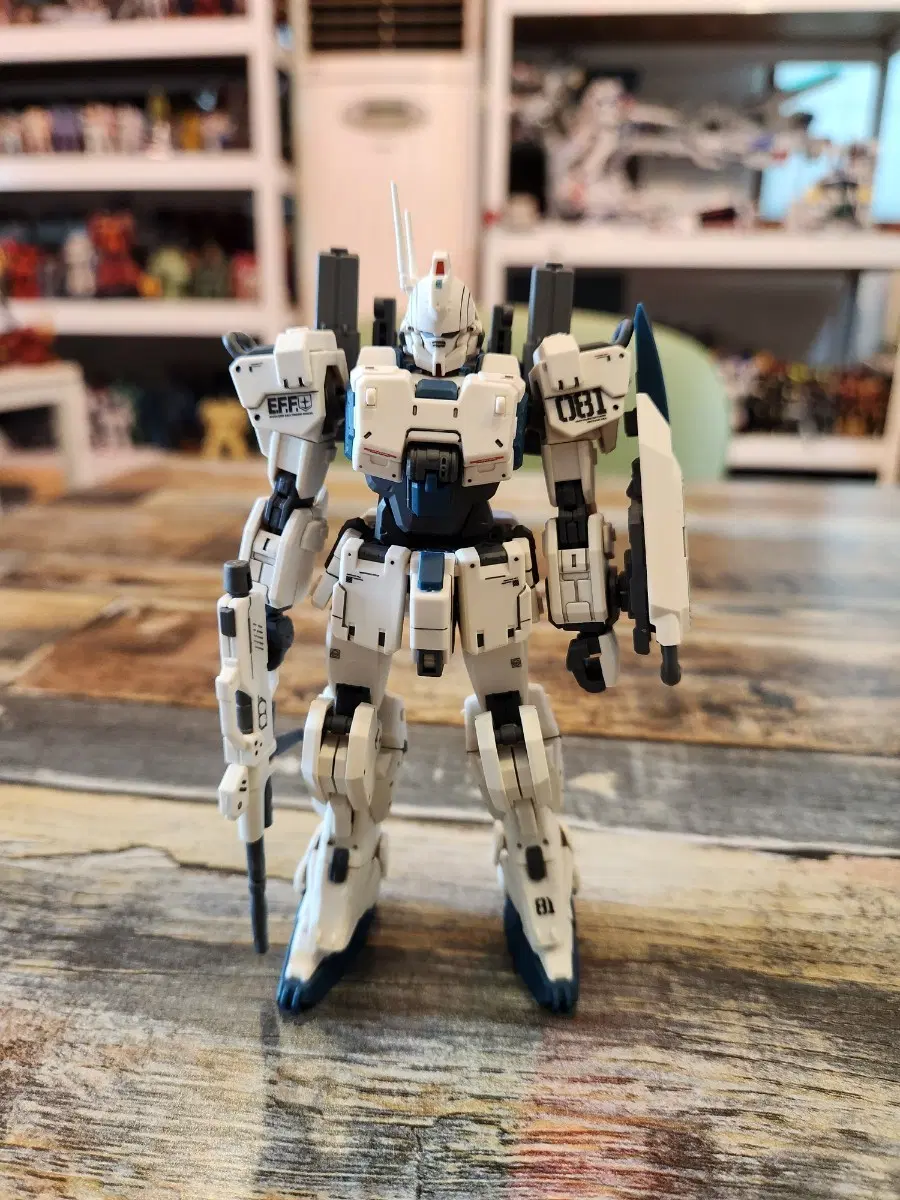 HG EZ8 건담 무광마감