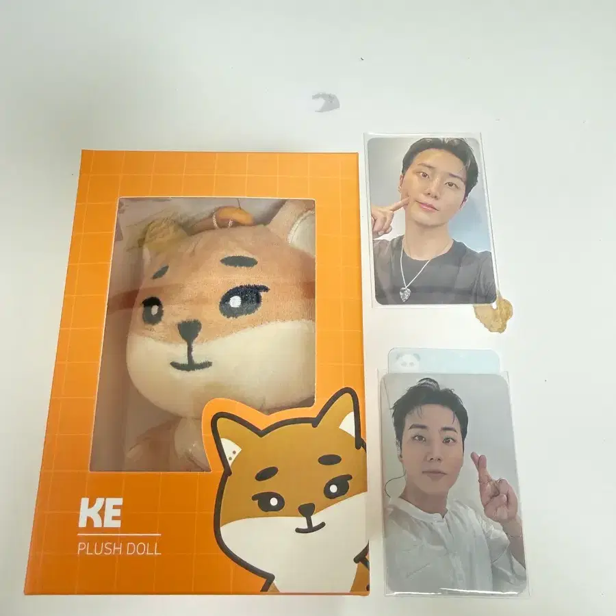 데니멀즈24 케, 영케이 포카