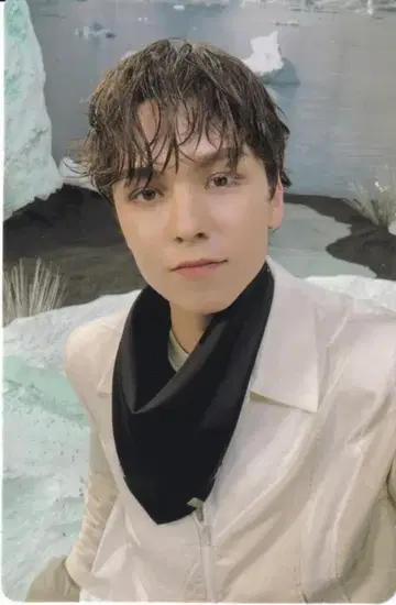 SEVENTEEN SECTOR 17 VERNON 트레이딩 카드