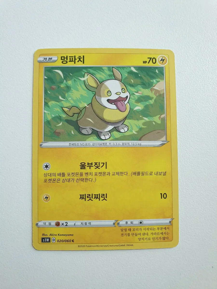 멍파치 포켓몬카드