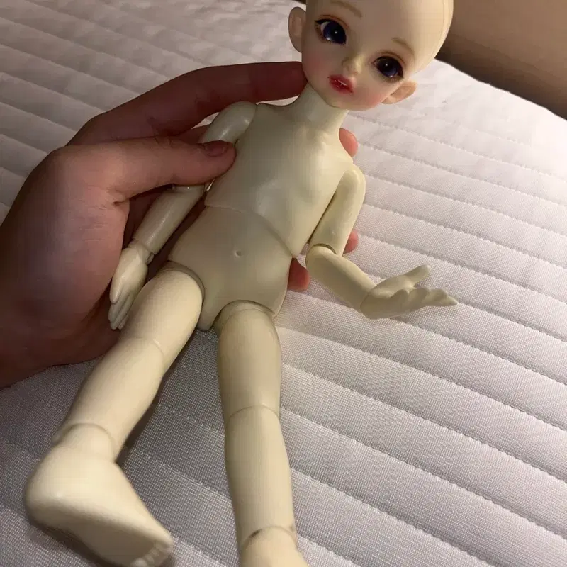 세이투리코 JK 구체관절인형 usd