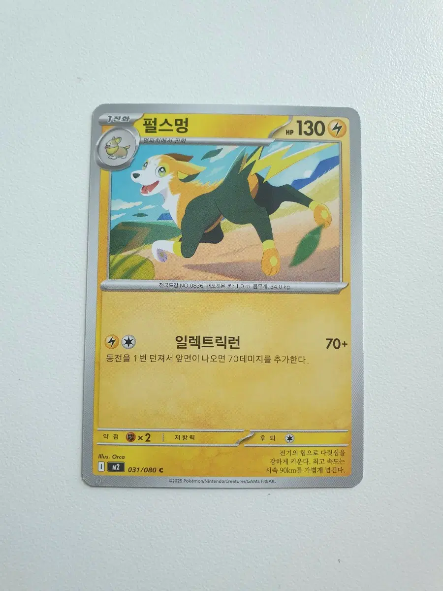 펄스멍 포켓몬카드