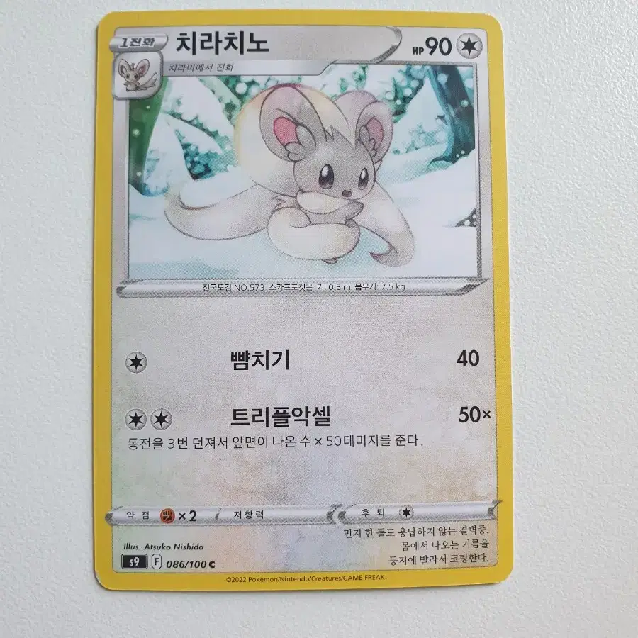 치라치노 포켓몬카드