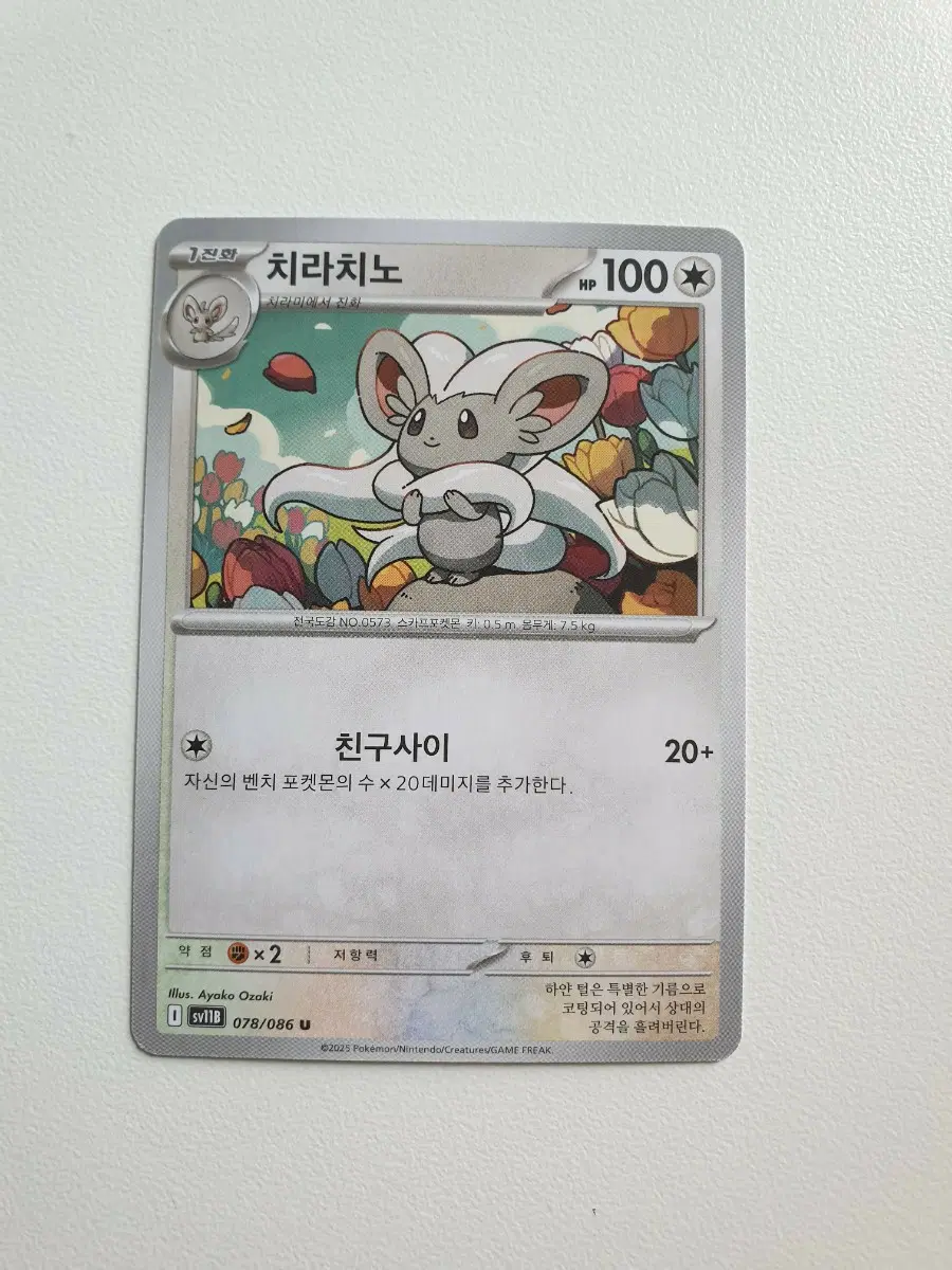 치라치노 포켓몬카드
